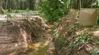 Nearly 11 Rai Rubber Plantation Land For Sale in Thai Mueang, Phangnga