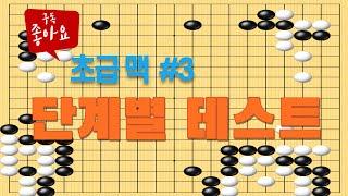 바둑강좌 #3-초급 맥(14-10급)-단계별 테스트,Beginner Mac (Grade 14-10)-Stepwise Test #브레인업바둑#바둑강좌 #바둑교육