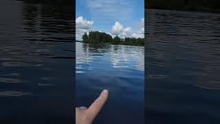 Рыбалка 2024. #shortvideo #рыбалка #fishing #fish #природа