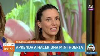 Chile Huerta en Mucho Gusto - Septiembre 2019