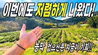 작은평수, 큰평수 저렴한 가격대로 농막짓고 5도2촌으로 힐링하세요~  충청북도 제천시 / 충주시 No.1 토지, 전원주택 협동부동산, 땅보스TV