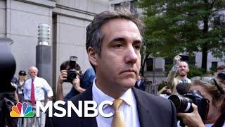 Michael Cohen Sentencing Memo Recommends 42 Months In Jail, $100,000 Fine | MTP Daily | MSNBC