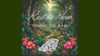 In Loving Memory: Tommy "the Ram" of Linalita Farm