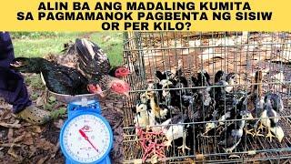 Alin ba ang madaling kumita sa pagmamanok pagbenta ng sisiw or per kilo?