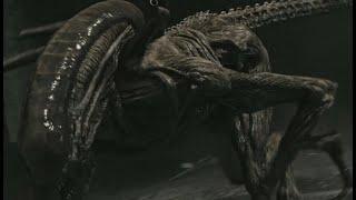 alien covenant all xenomorph scenes