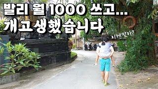 발리 한 달살기, 4인 가족 월 1000만원 현실적인 후기