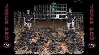 Wild Hog Trapping | (28) Using Integrated Wild Pig Control™ For Wild Hog Control | JAGER PRO™
