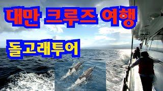 대만 크루즈 돌고래 투어 대박여행 돌고래 만나러 태평양으로 나가 봄 Taiwan dolphin and whale