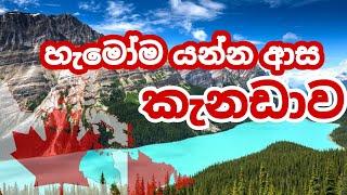 කැනඩාව ගැන විශේෂ තොරතුරු | Amazing facts about Canada | Canada facts Sinhala