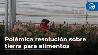 Polémica resolución sobre tierra para alimentos, ¿qué pasará con floras, ganadería y turismo?