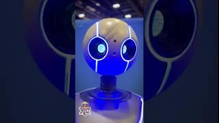 The Real-Life Replica of Roz from The Wild Robot #shorts #robot