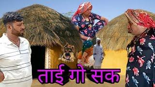 ताई चाली घास लेण ।। haryanvi rajsthani comedy video #dhakadtai #कोमेडी  #comedy #ganpaticomedy