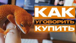 КАК УГОВОРИТЬ БЛИЗКИХ КУПИТЬ ТЕБЕ РЕПТИЛИЮ: СОВЕТЫ И ФАКТЫ | Panteric News | Уборка в террариуме