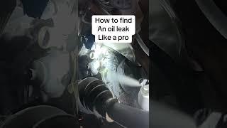 Find an engine oil leak like a pro #mechanic #carrepair #diy #