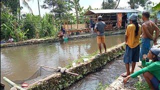 Ini bukan kaleng kaleng‼️harga diri jd taruhannya...