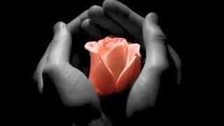 ALL OF ME ~ Maryann Maisano
