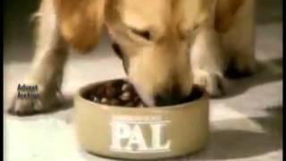 PAL Dog Food - PAL Active Life