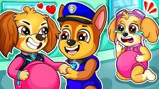 BREWING CUTE PREGNANT & CUTE BABY!! - Funny Life Story - Paw Patrol Ultimate Rescue - Rainbow 3