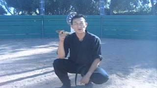 Chosun Ninja (Kunai throw) part 1-video #270