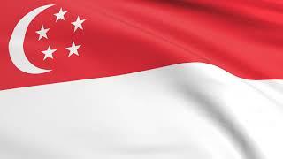 Flag of Singapore waving in the wind - Flag animation - Motion background - 4K UHD