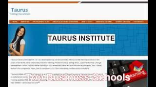 TAURUS INSTITUTE - PRESENTATION