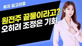 [투자 알고리즘] 원전주 끝물이라고? 오히려 조정은 기회 / 머니투데이방송 (증시, 증권)