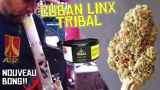 Review du CUBAN LINX de TRIBAL 24,8% THC 4,9% Terpènes Excellent weed énergisant ! +Nouveau Bong!