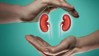 How To Keep Your Kidneys Healthy For Life in 2022