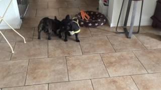 Liefde! Sky en Malia 7 Juli 2017