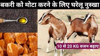 बकरी को मोटा करने के लिए घरेलू नुस्खा |Kamjor bakri ko mota karne ka tarika #bakripalan @vnsgoatfarm