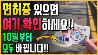 10월부터! 운전면허증 있으면 여기 확인하세요!! 모두 바뀝니다!