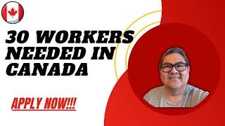30 WORKERS NEEDED IN CANADA I NO PLACEMENT FEE I BUHAY SA CANADA