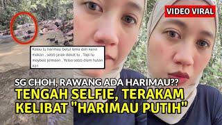 VIDEO HARIMAU PUTIH MUNCUL DI KAWASAN PERKELAHAN SUNGAI CHOH, RAWANG TERAKAM