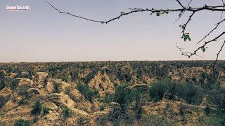 (Beehad) Ravines of Chambal - Taking back the badlands