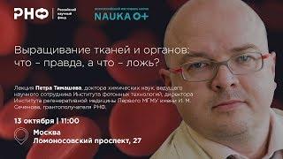 Выращивание тканей и органов: что – правда, а что – ложь?