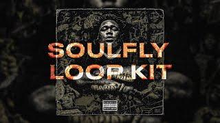 [FREE 10] "SoulFly" Pain Loop Kit / Sample Pack 2021 (Rod Wave, Lil Durk, Toosii, Polo G, Youngboy)