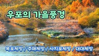 우포 가을풍경 | 1억4천만년습지 | 제방주변 촬영지 4곳 꿀팁 | Upo Ramsar / landscape photography |4k|