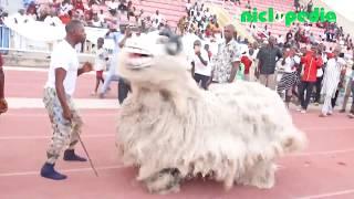 Tiv Masquerade Dance From Bali Video Taraba State Carnival 2017 Jalingo Niclopedia.com