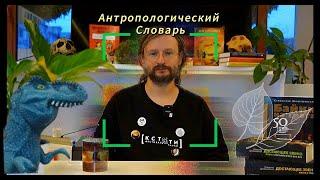 АНТРОПОЛОГИЧЕСКИЙ СЛОВАРЬ со Станиславом Дробышевским:  Палеопротеомика.