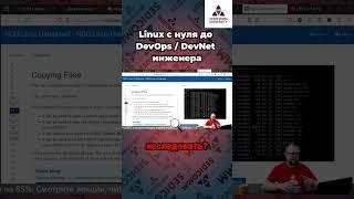 Клонирование дисков: секреты команды dd! Курс #linux с нуля до #devops / #devnet инженера.