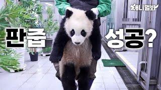 15kg 판다 인형 뽑기 인증 썰 풉니다ㅋㅋㅋㅣHow I Got 15kg Panda Doll