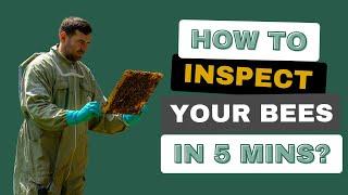 Inspecting A Beehive In Under 5 Minutes