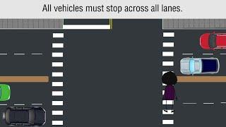 New Pedestrian Crosswalk Law