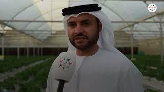 Global Farms Interview with UAE Forsan