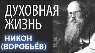 Что такое работа Духовная? Никон (Воробьев). Духовная жизнь. Душа