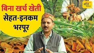 FIVE LAYER FARMING: एक साथ कई फसलें, किसान की लगातार आमदनी | Gaon Junction LIVE