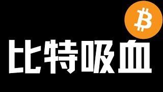 【比特币行情分析】2024.12.17 大饼吸血，多看少动！