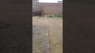 ai desh mera#technology # Sunil nokhwal# Sunil nokhwal#