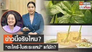 ข่าวนี้จริงไหม? สูตรลับดื่มน้ำตะไคร้-ใบสะระแหน่ แก้ชักได้ | TNN ข่าวเที่ยง | 18-9-66