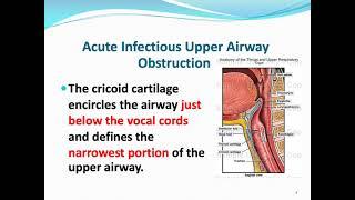 Ped Lec 37 Acute Infectious Upper Airway Obstruction by Prof  Muhi Al Janabi
